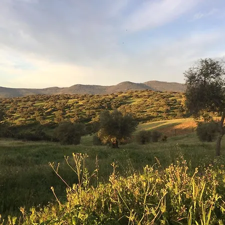 Rural Baldio Grande Carbajo